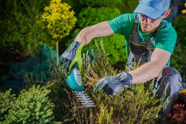 landscaping services Elk Creek